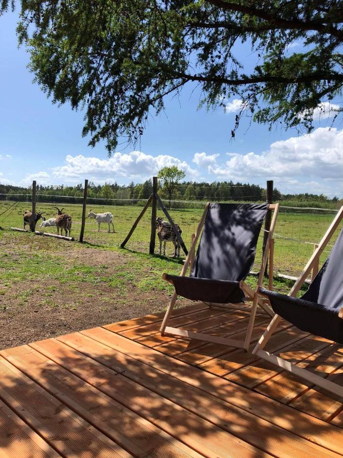 Vila Zamieszkaj Na Wsi Blisko Warszawy Borucza Exteriér fotografie